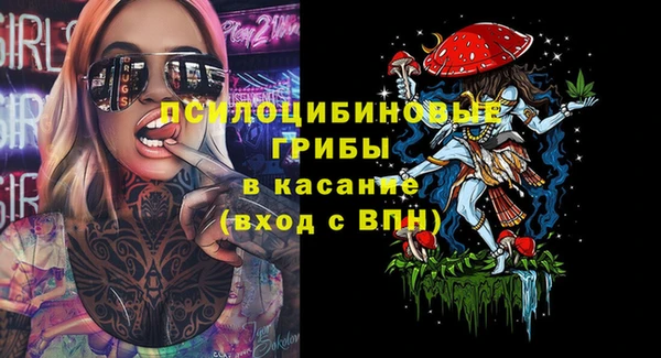 кокс Алексин