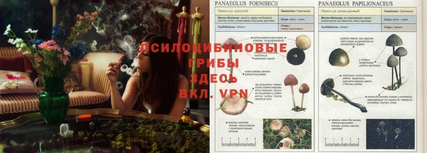 альфа пвп VHQ Абаза