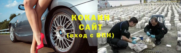apvp Алзамай